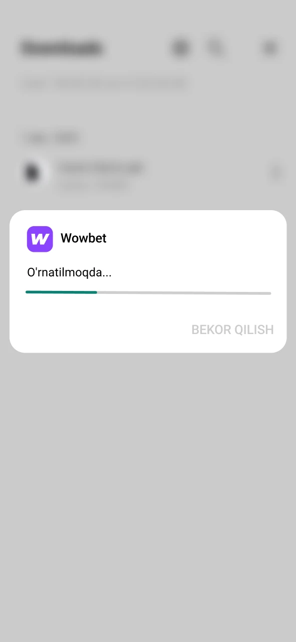 Wowbet ilovasini qurilmangizga o'rnatishni boshlang.